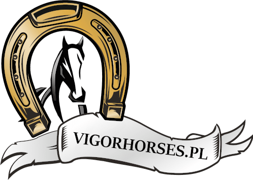 Logotyp Vigor Horses przedstawiający czarnego konia w złotej podkowie z białą wstęgą zawierającą nazwę firmy