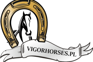 Logotyp Vigor Horses przedstawiający czarnego konia w złotej podkowie z białą wstęgą zawierającą nazwę firmy
